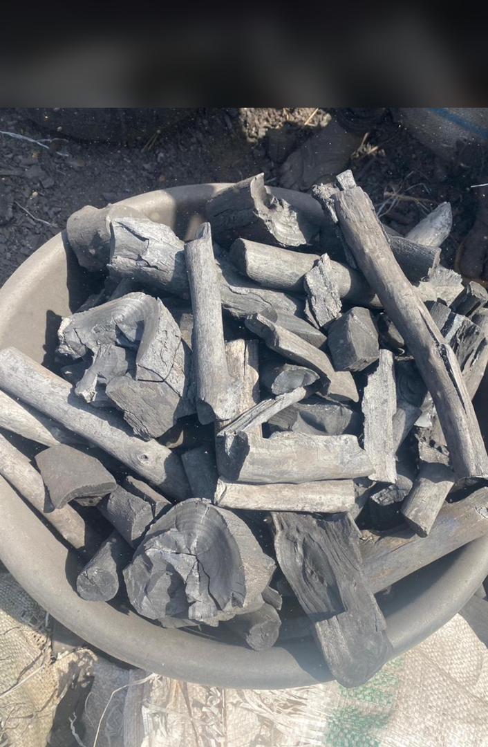 Acacia non sparking charcoal